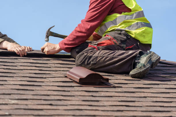 Best Storm Damage Roof Repair  in Westover, WV