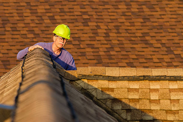 Best Roof Maintenance Services  in Westover, WV