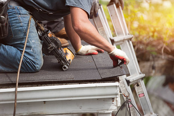 Best Roof Leak Repair  in Westover, WV