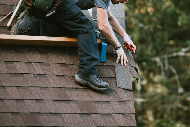 Best Roof Repair Services  in Westover, WV